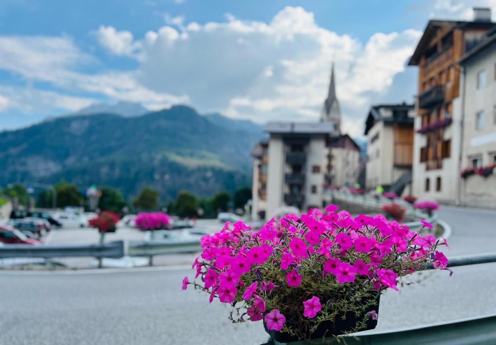 My Dolomites Home リヴィナッロンゴ・デル・コル・ディ・ラーナ エクステリア 写真
